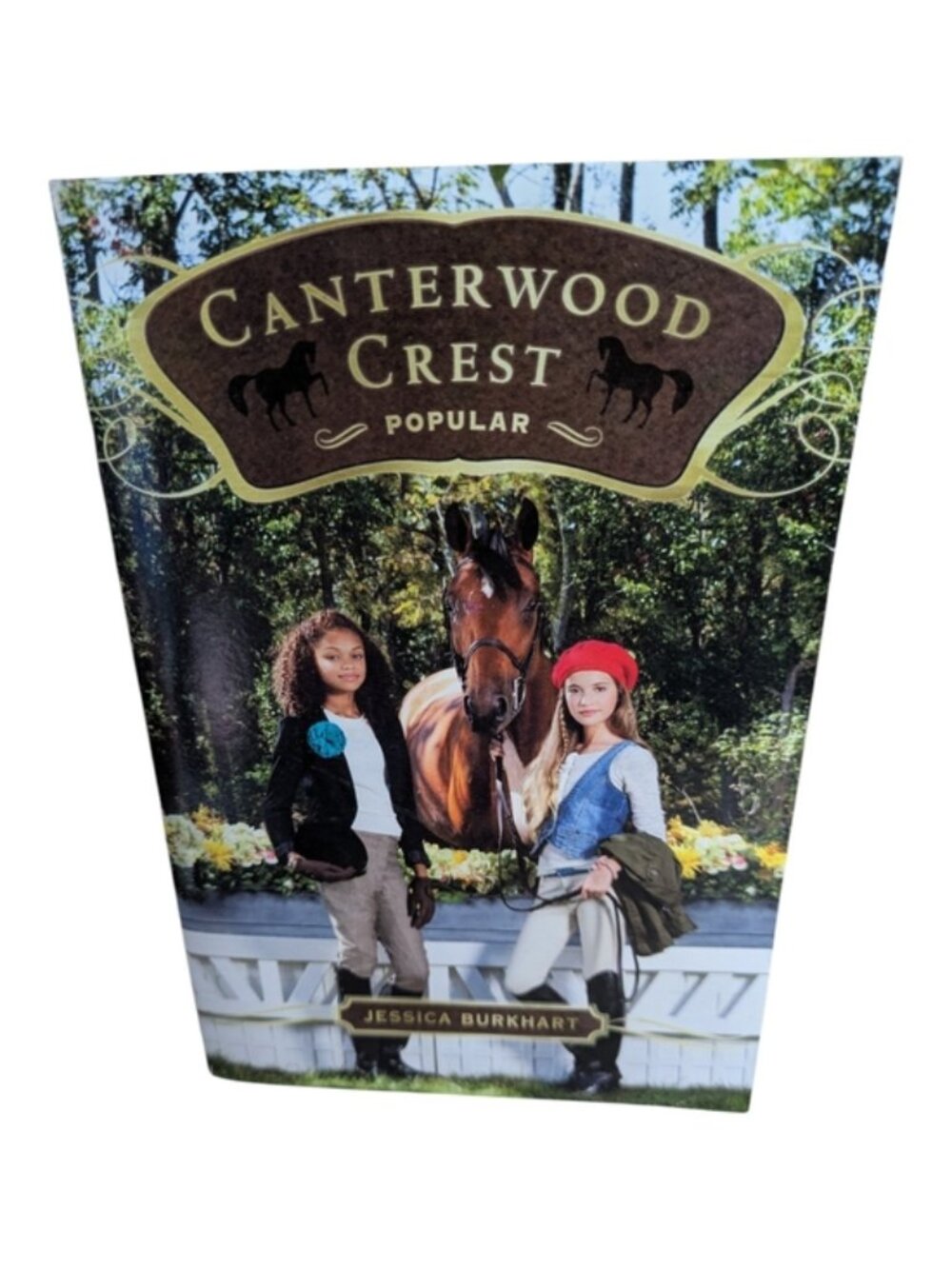 **4/$20**Popular (Canterwood Crest Book 14) by Jessica Burkhart Ages 9-13 Years